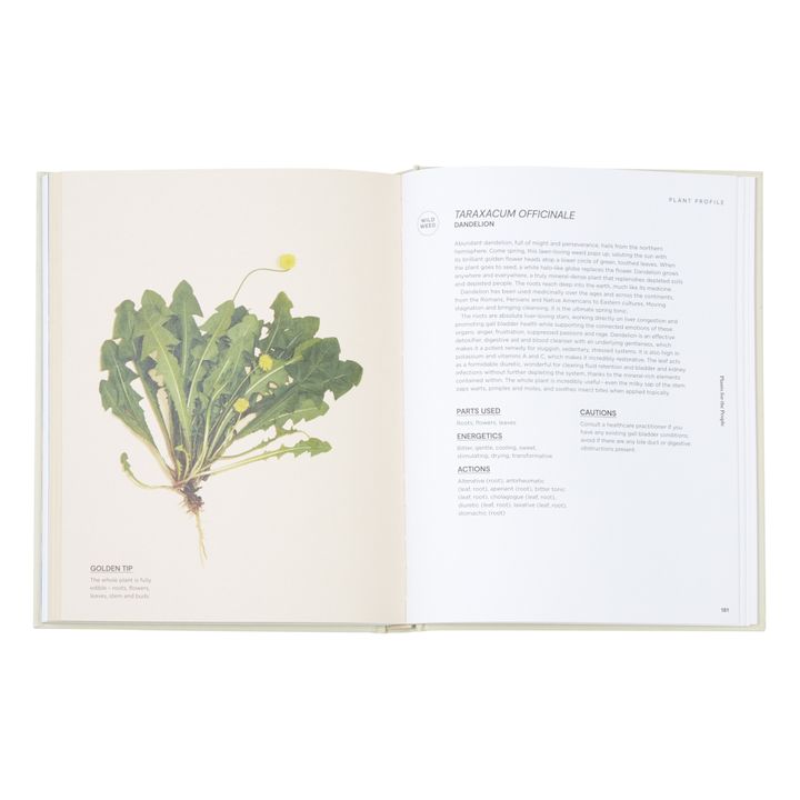 Plants for the People A Modern Guide to Plant Medicine - EN- Immagine del prodotto n°4