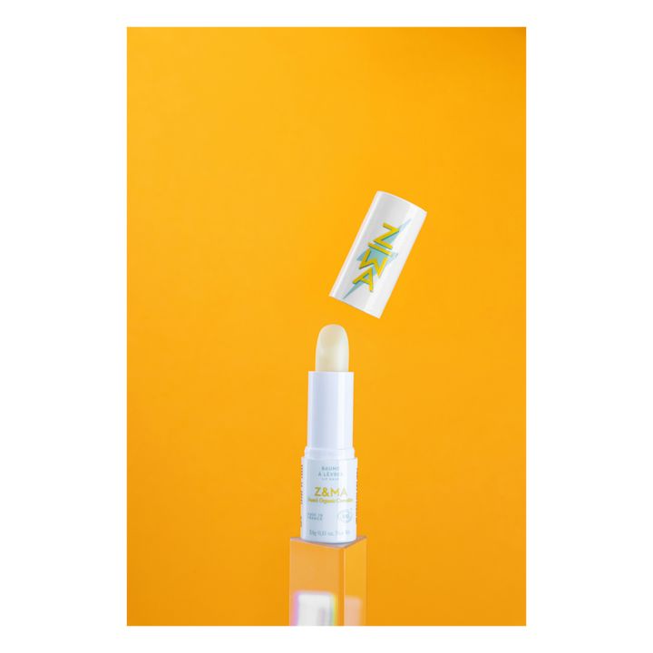 Baume à lèvres hydratant coco et karité - 3,8 g- Image produit n°1