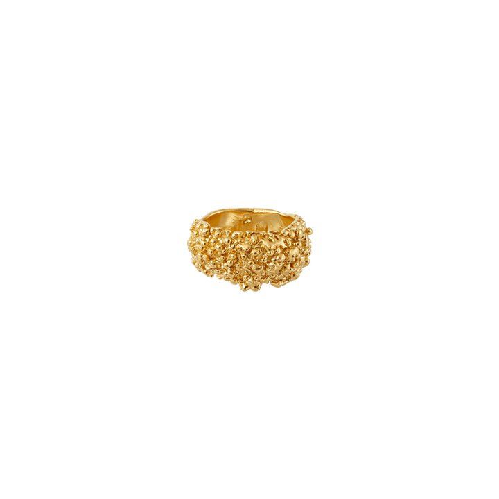 The Rocky Road ring | Gold- Product image n°0