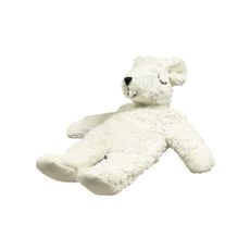 Ours polaire blanc