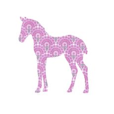 Foal - Pink