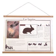 Affichette R&eacute;tro - Le Lapin