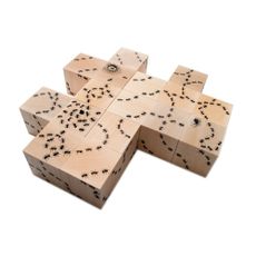 Cubes Fourmis