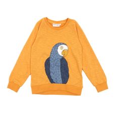 Sweat Parrot - Orange