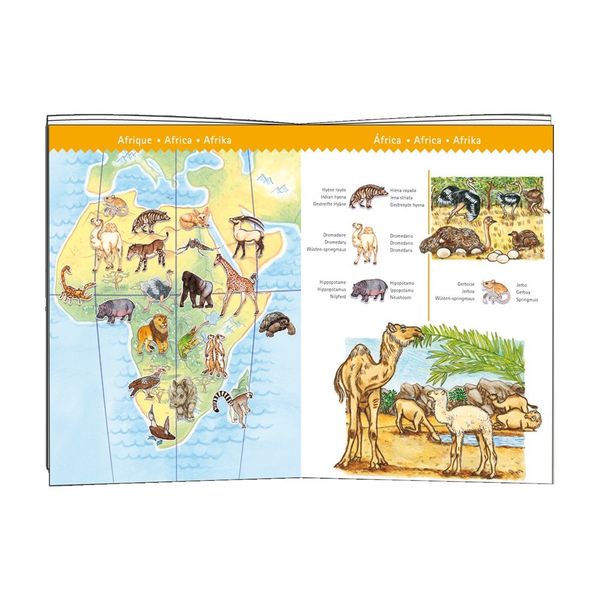 Puzzle Wolrd's animals and booklet-product