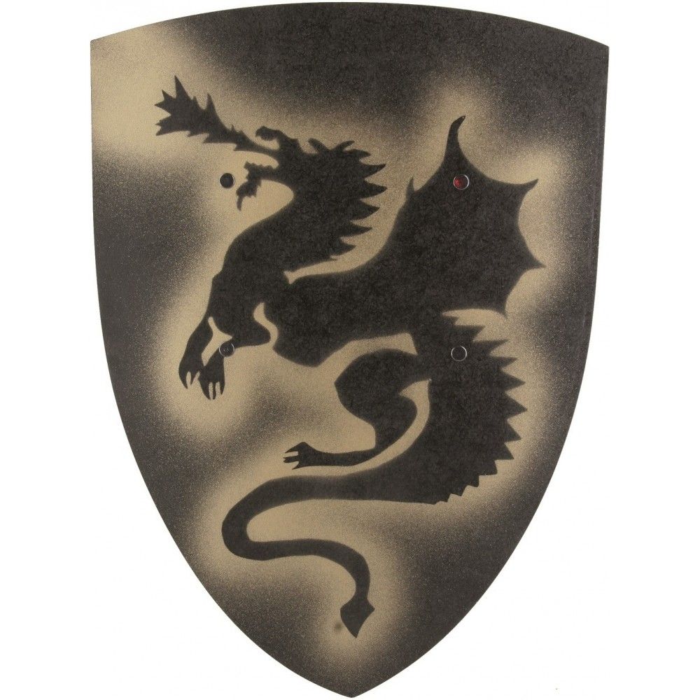 Image result for black dragon shield