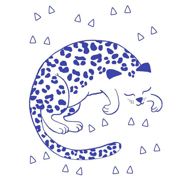Leuchtposter - Leo-product