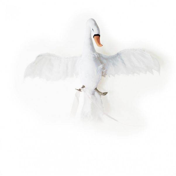 Cygne - Blanc-product