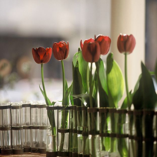 April Vase-product