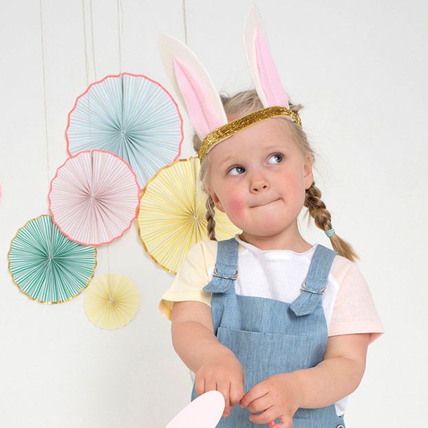 Bunny costume-product