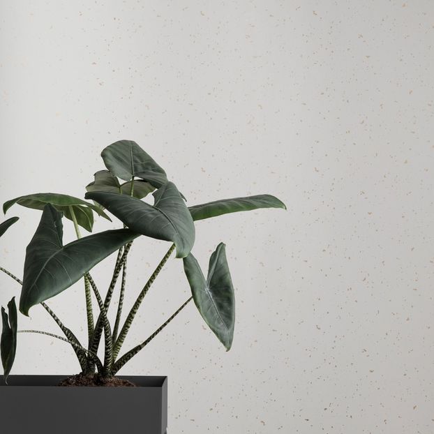 Confetti Wallpaper-product