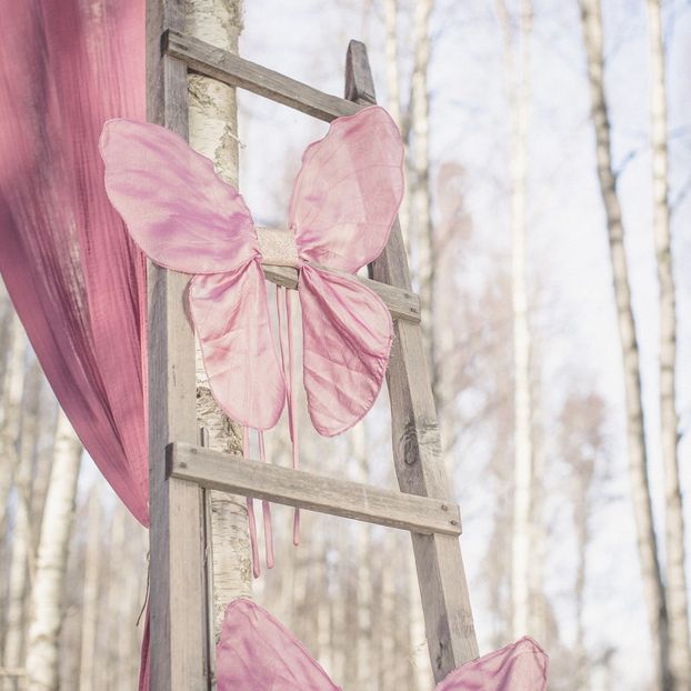 Butterfly wings-product