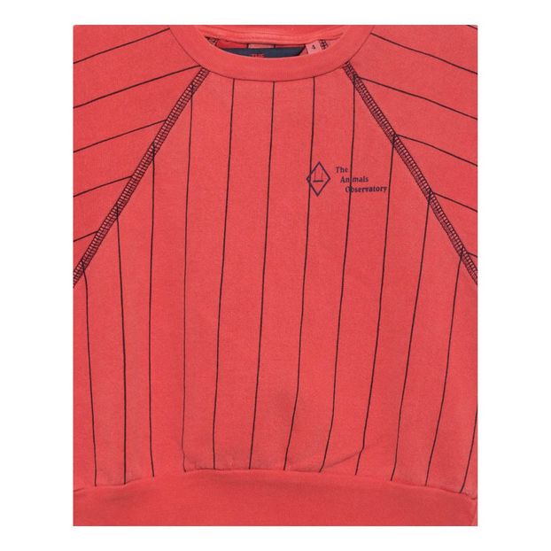Sweat Rayé Délavé Sans Manches Hippos-product