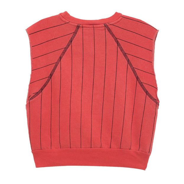 Sweat Rayé Délavé Sans Manches Hippos-product