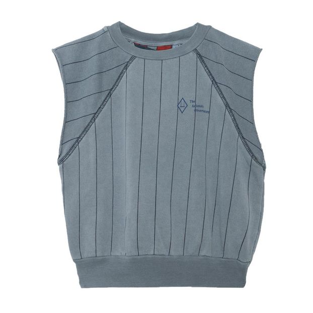 Sweat Rayé Délavé Sans Manches Hippos-product