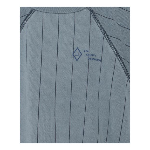 Sweat Rayé Délavé Sans Manches Hippos-product
