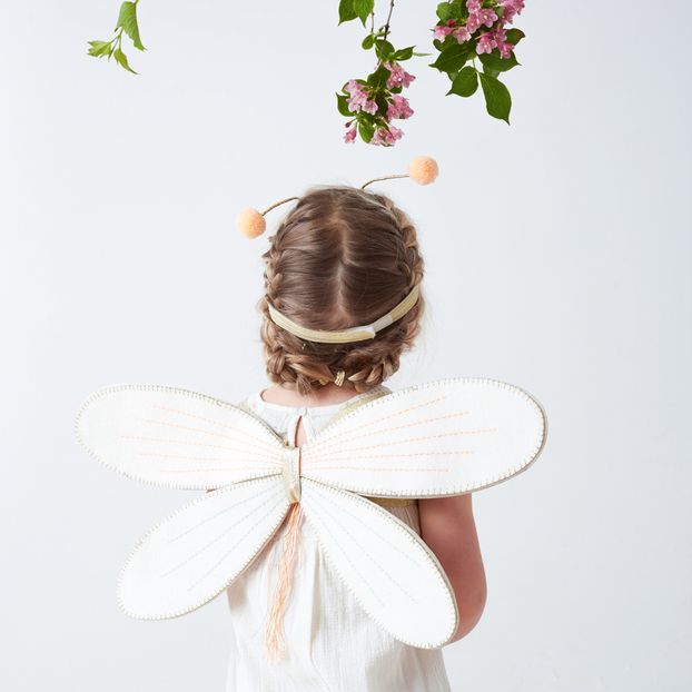 Déguisement de papillon-product