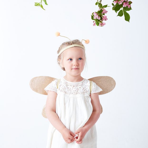Déguisement de papillon-product