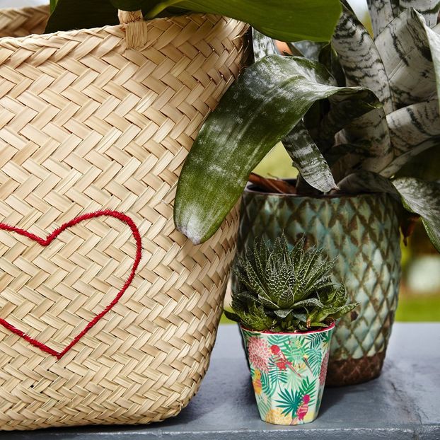 Bicchieri tropical in melamina-product