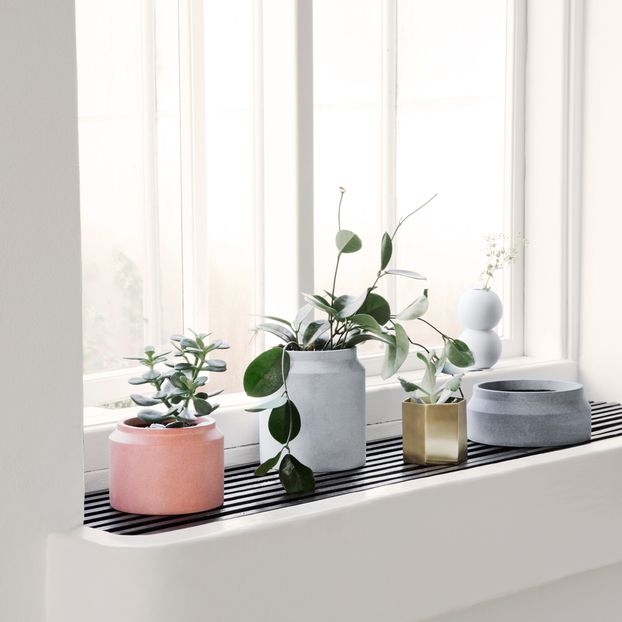Bote hexagonal-product