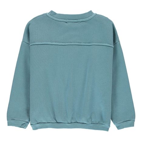 Organic Cotton Fish Sweatshirt-product
