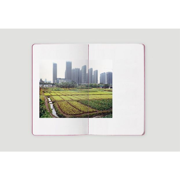Pink Canton Portraits-product