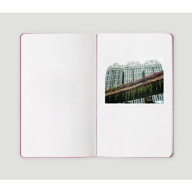 Pink Canton Portraits-product