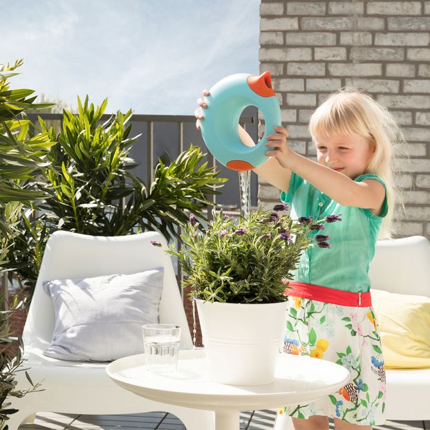 1L Cana Watering Can-product