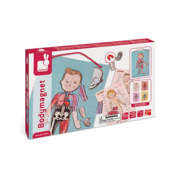 Magnetic Anatomy Puzzle-product