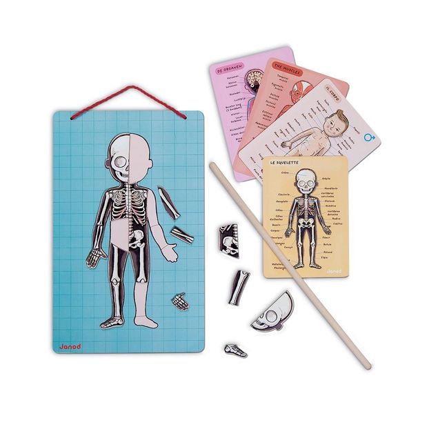 Magnetic Anatomy Puzzle-product