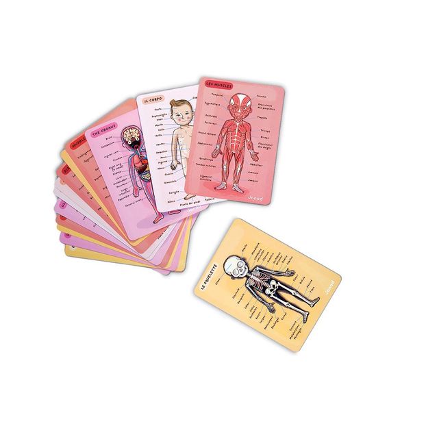 Magnetic Anatomy Puzzle-product