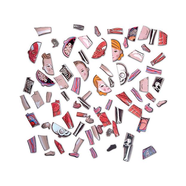 Magnetic Anatomy Puzzle-product