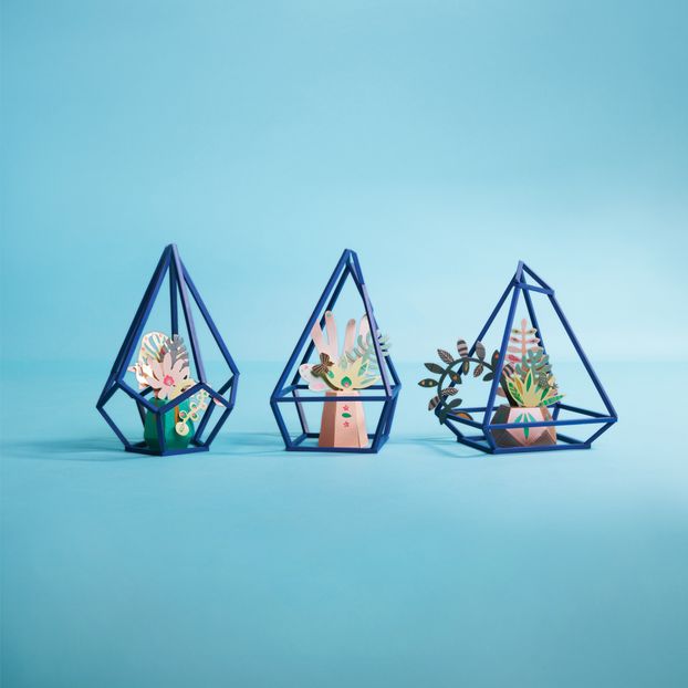 Jardín Secreto Mis Plantas Tropicales -product