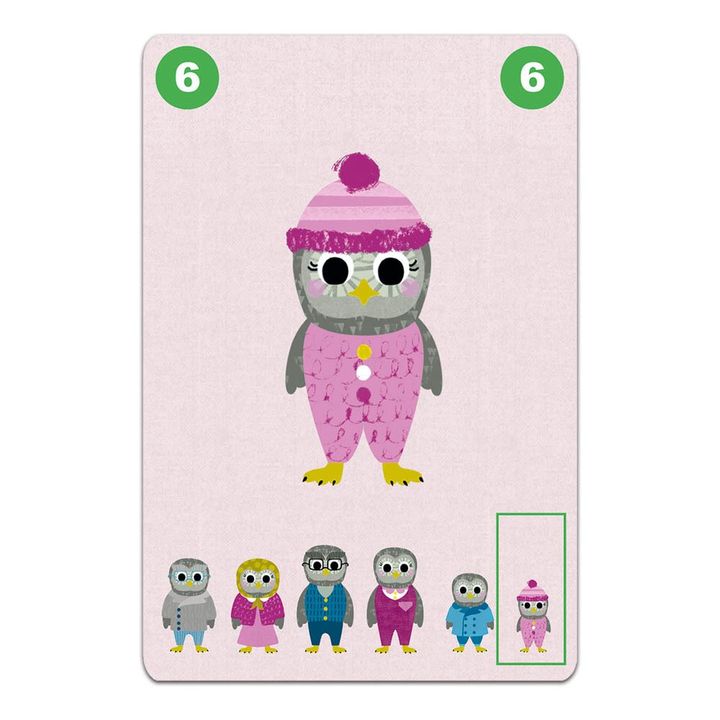 Jeu de 7 familles Familou- Image produit n°4