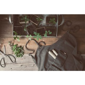 Numero 74 Schürze für Erwachsene -listing