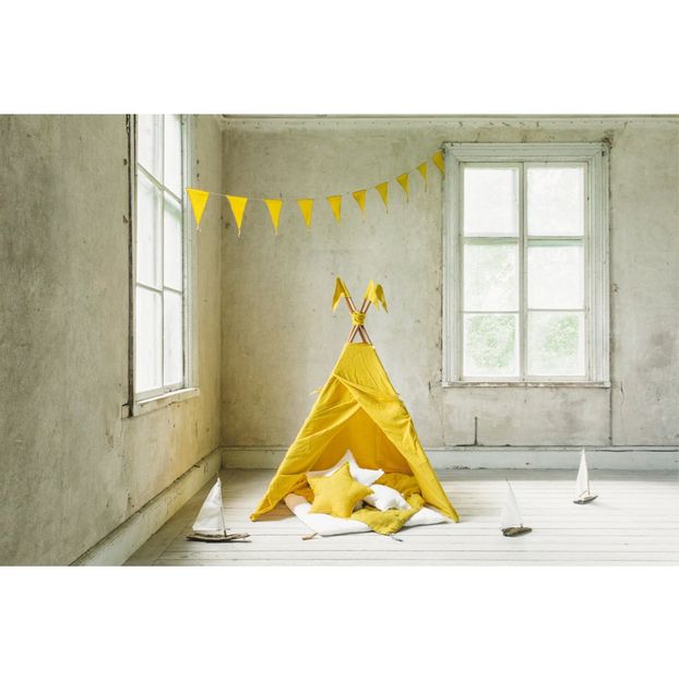 Star cushion-product