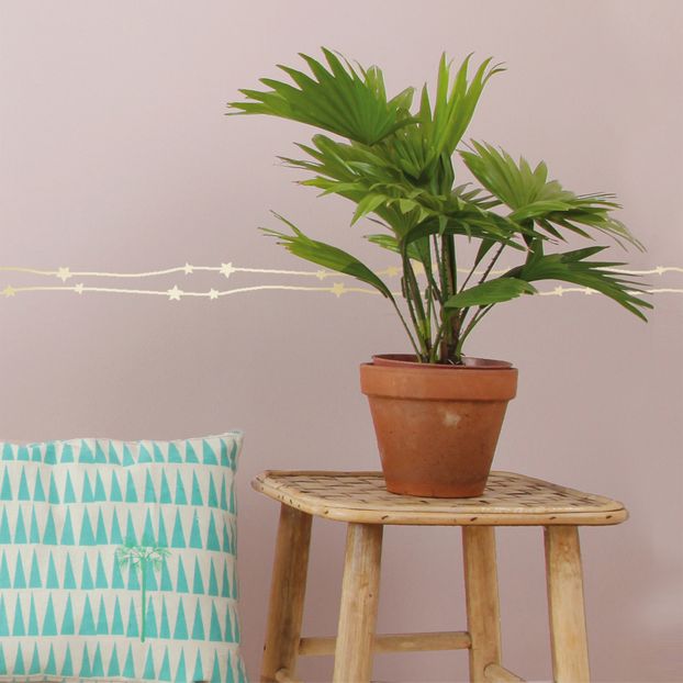 Frise Etoiles-product