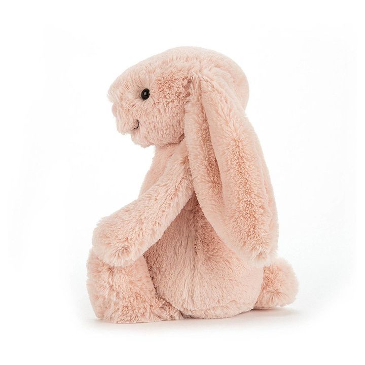 Bashful Bunny Soft Toy- Product image n°1