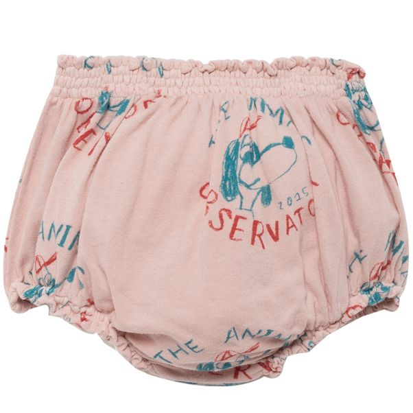 Bloomer Chiens Jersey Toads-product
