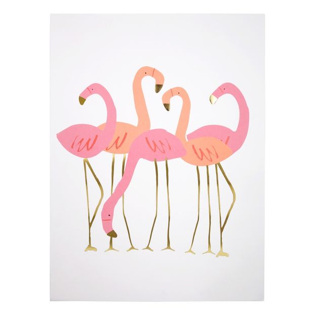 Pósteres Tucanes y flamenco rosa - Set de 3-product