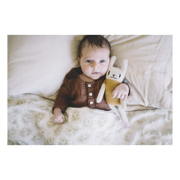 Doudou Lapin 23cm-product