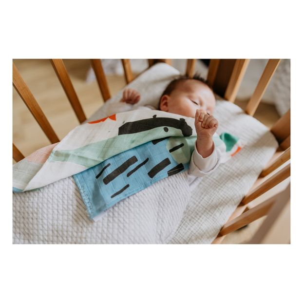 Camille Organic Cotton Swaddle 48x48cm-product