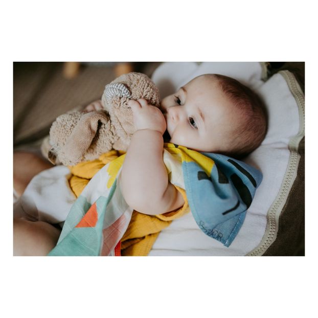 Camille Organic Cotton Swaddle 48x48cm-product