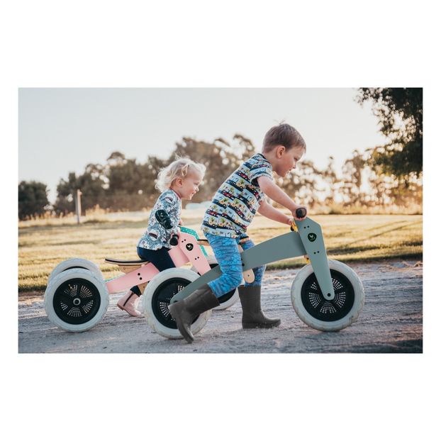 Classic 3-in-1 Push Bike-product