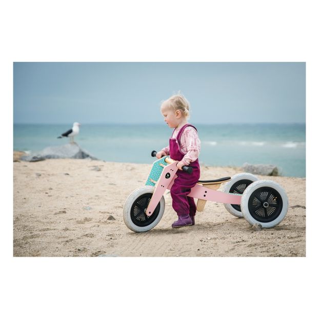 Classic 3-in-1 Push Bike-product