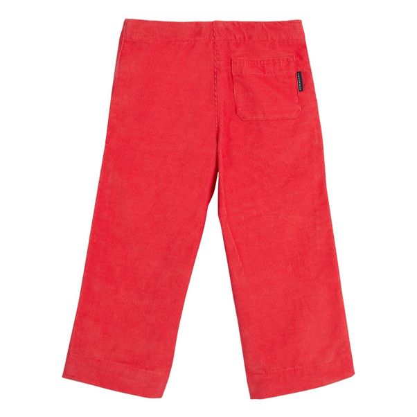 Nicey Velevet Trousers -product