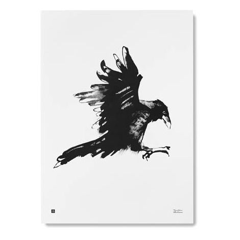 Poster 50x70cm - Crow-product