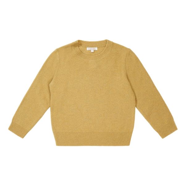 Pull Mérinos Gecko-product