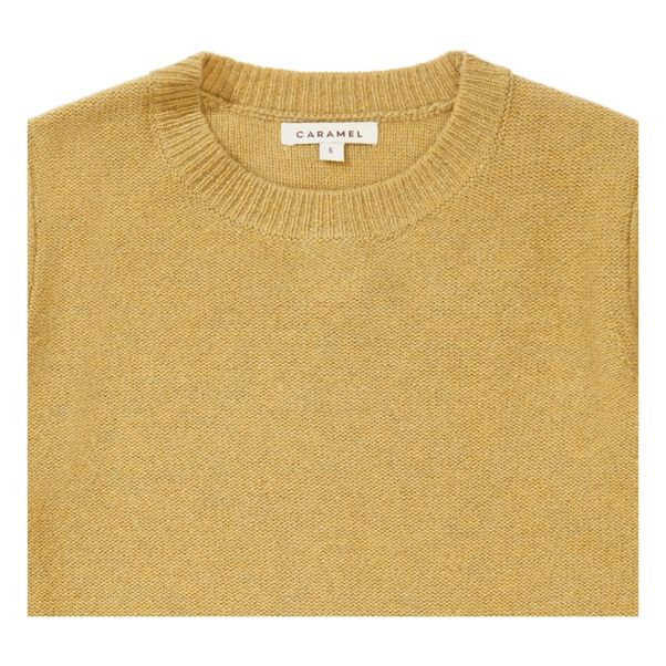 Pull Mérinos Gecko-product