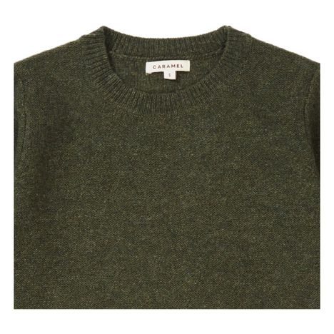 Pull Mérinos Gecko-product